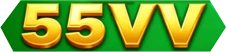 55vvbetplataforma.net Logo